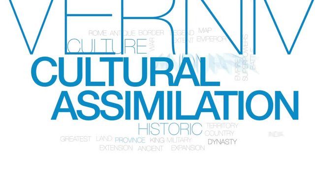 Cultural assimilation animated word cloud, text design animation. Kinetic typography.