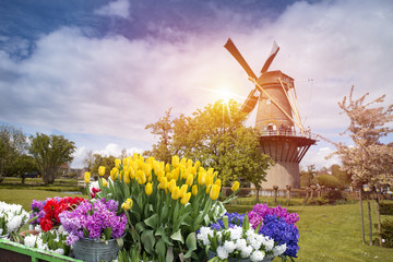 Amsterdam canal at sunset. Amsterdam is the capital and most populous city in Netherlands.