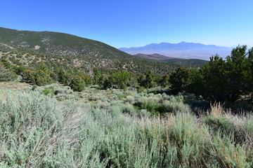 The great basin national park in Nevada.
