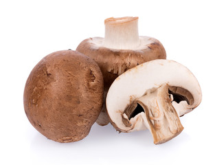 Mushroom champignon isolated on white background
