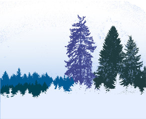 Winter snowy panoramic forest landscape with frozen conifers. Blue, white and green wild landscape with flying snow and silhouettes of trees