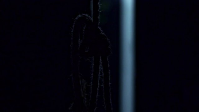Rope loop on a dark background