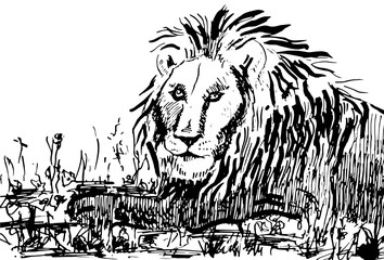 Lion on nature vector illustration isolated on white