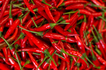 Pile of fresh red chilli peppers