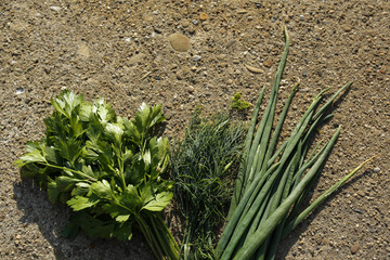 bunch of fresh herbs- parsley, chive and dill on stone background