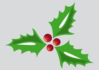 Christma holly, green leaves, red berries on grey background