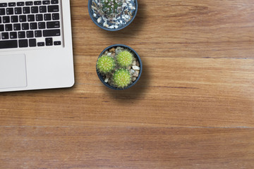 Mock up laptop and cactus in pot on wooden table of brown. copy space