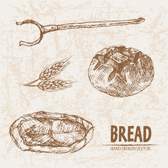 Digital vector detailed line art baked bread and dried wheat hand drawn retro illustration collection set. Thin artistic pencil outline. Vintage ink flat, engraved mill doodle sketches. Isolated