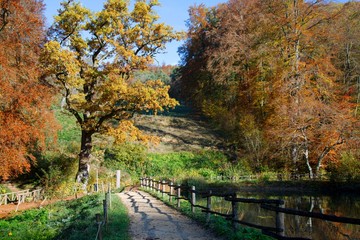 Fototapeta na wymiar Wooden bridge at the Central Lake of the Ermitage Arlesheim. Autumn view
