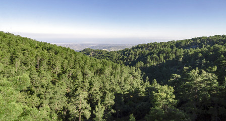Cyprys hills