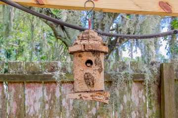 toad in the bird feeder