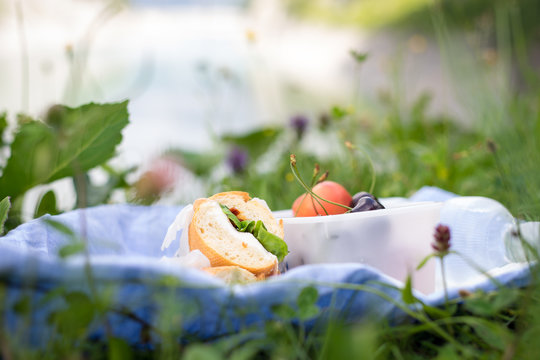 Sandwiches, fruits and a bottle of water in the grass. Selective focus