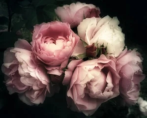Küchenrückwand glas motiv Rosen Schöner Strauß rosa Rosen, Blumen auf dunklem Hintergrund, weicher und romantischer Vintage-Filter, der wie ein altes Gemälde aussieht