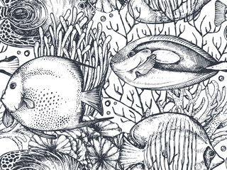 Vector monochrome seamless sea pattern with tropical fishes, algae, corals.