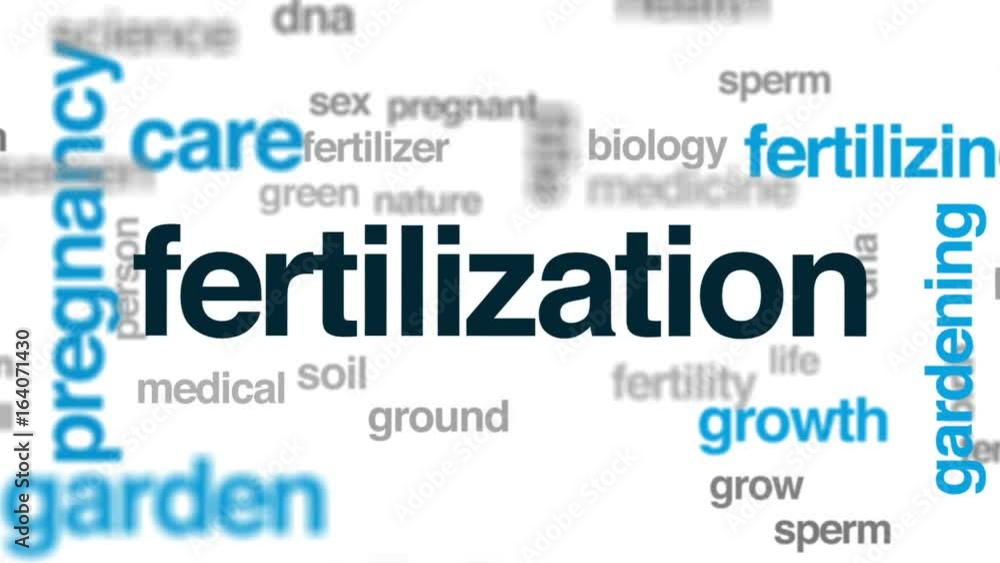 Wall mural Fertilization animated word cloud, text design animation.