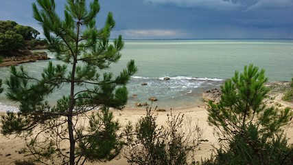 Plage île d'aix © Laura