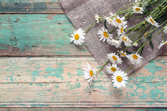 Background with daisies on old boards with shabby paint. Place for text.
