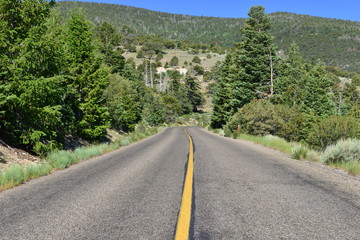 The Great Basin National park in Nevada.
