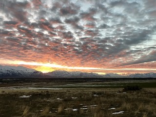 Fototapeta premium Cotton Candy Clouds