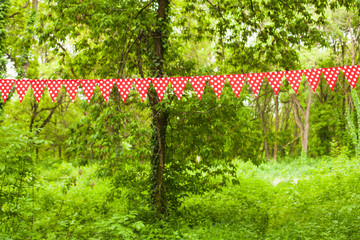 Red bunting flags