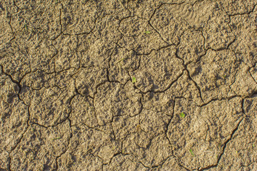 drought, cracked earth in gray. earth without rain. background