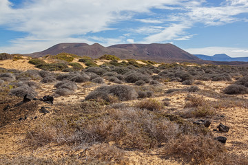 Picturesque desert landscape of Graciosa volcanic island with sparse vegetation,  Lanzarote, Canary Islands, Spain