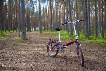 Claret red folding bicycle