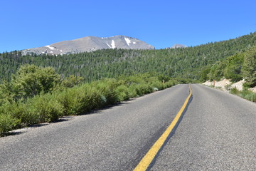 The Great Basin National park in Nevada.
