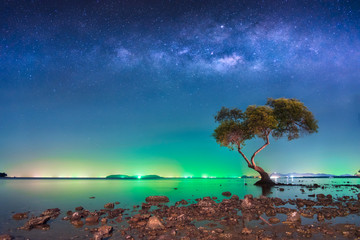 The milky way over big tree in tropical beach with night sky, Thailand