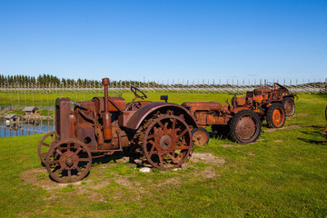 Fototapeta na wymiar Rusty vintage tractors in the field. Museum installation.