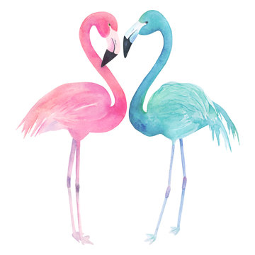 Watercolor two flamingos on white background. Hand drawn illustration