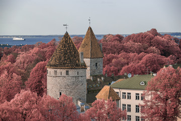 Old Tallinn towers. Infrared photography, color swapped process.