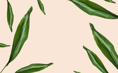 green leaves with blank space on beige background