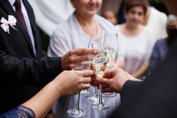 Guests cling glasses on the weding  dinner