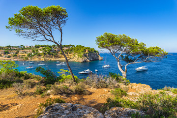 Küste Mittelmeer Spanien Mallorca Landschaft Meer Boote Bucht Portals Vells