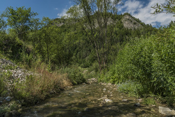 Lesnicky creek in Pieniny national park
