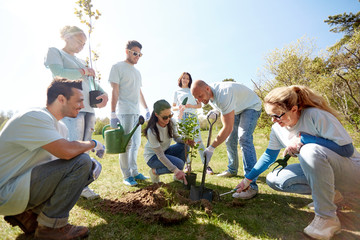 group of volunteers planting tree in park