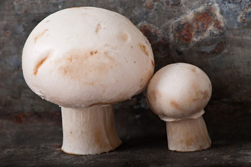 Mushrooms champignons on an old iron background.