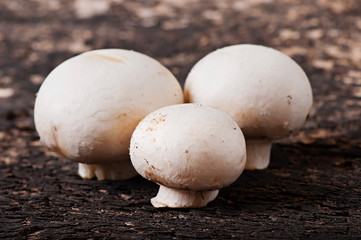 Mushrooms champignons on an old wooden background.