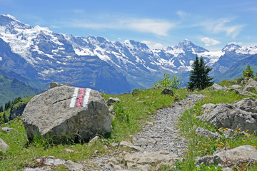 alpen: eiger, mönch und jungfrau, schweiz 