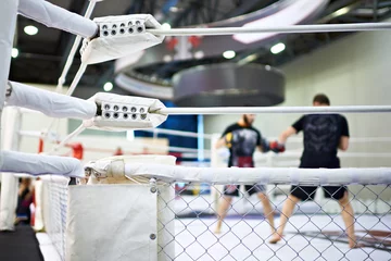 Foto op Plexiglas Vechtsport Training van vechters van mixed martial arts
