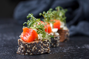 Canape with salmon and cheese cheese on a dark background.
