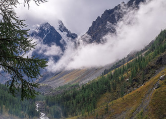 Mountain landscape. Mountain river in the Altai Republic.