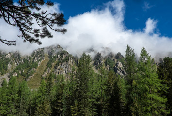 Mountain landscape. Cloud at the top of the mountain in the Republic of Altai.