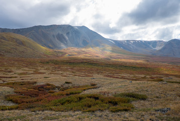 Mountain landscape in the Republic of Altai.