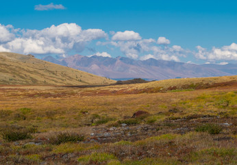 Fototapeta na wymiar Mountain landscape in the Republic of Altai.