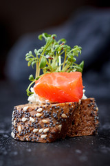 Canape with salmon and cheese cheese on a dark background.
