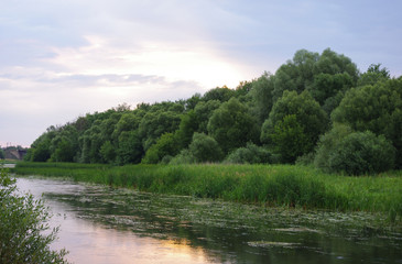 Берег реки на рассвете в средней полосе России.