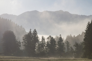 Morgenstimmung im Isarwinkel