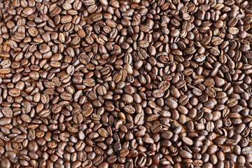 coffee beans background texture